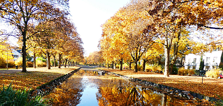 autumn trees along a canal